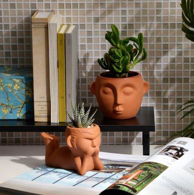 Trong nhà nhỏ Terracotta Plant Pot Kháng vết bẩn