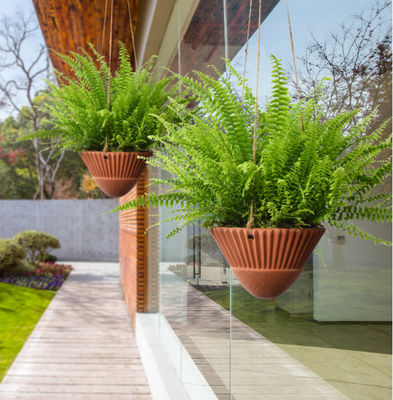 Máy trồng treo cho cây trồng trong nhà, Máy trồng treo đất sét, Chậu trồng treo gốm, Giỏ treo, Máy trồng treo