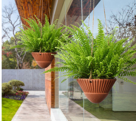 Cây gốm cối treo chống gãy