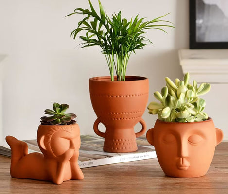 Máy rửa chén an toàn Cây Terracotta nhỏ