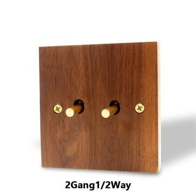 250v Điện chuyển mạch bảng điều khiển thời gian lịch trình điều khiển bằng giọng nói