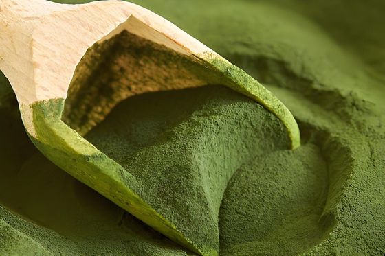 Bột sơn màu xanh lá cây màu đen chất lượng thực phẩm Melamine Molding Compound chất lượng tuyệt vời Melamine Molding Compound